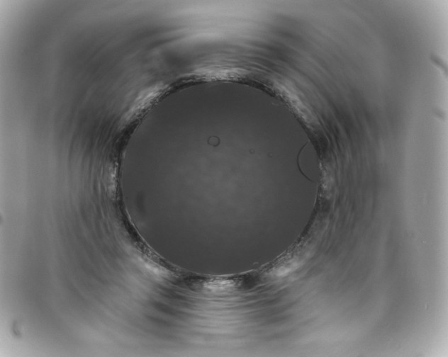X0000097790357200803211826