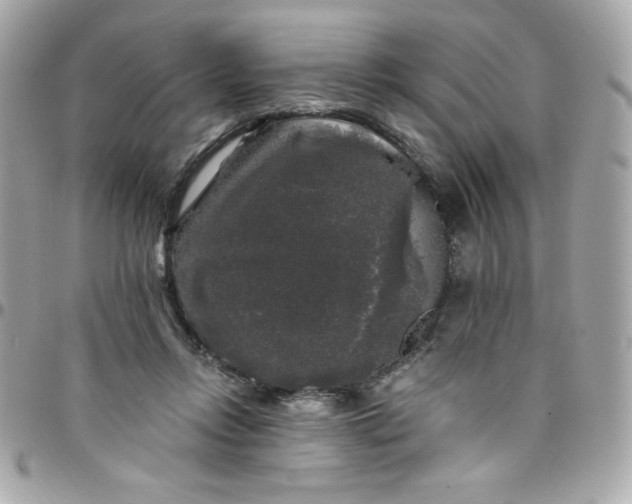 X0000097790358200803211826