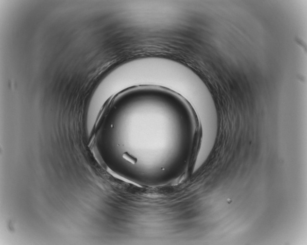 X0000097790360200803211826