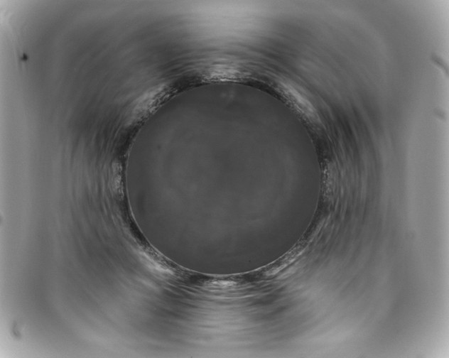 X0000097790361200803211826