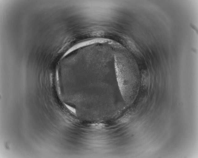 X0000097790363200803211826