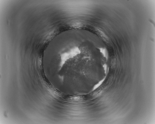 X0000097790365200803211826