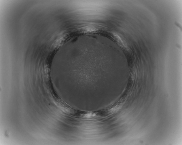 X0000097790366200803211826