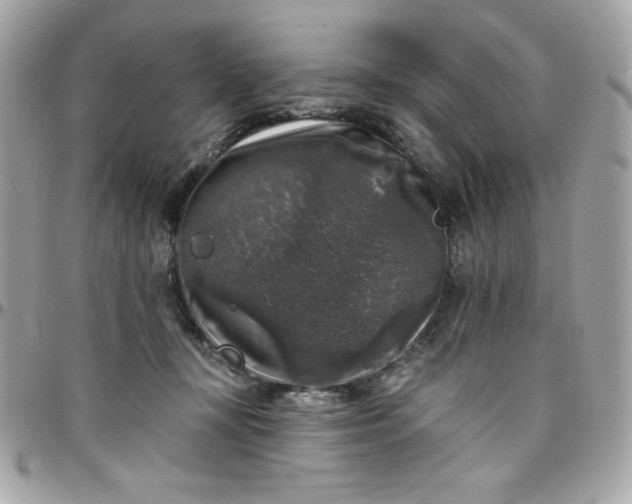 X0000097790367200803211826