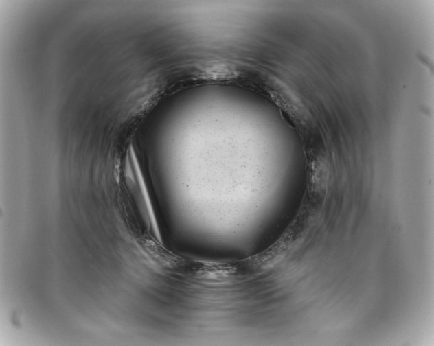 X0000097790368200803211826