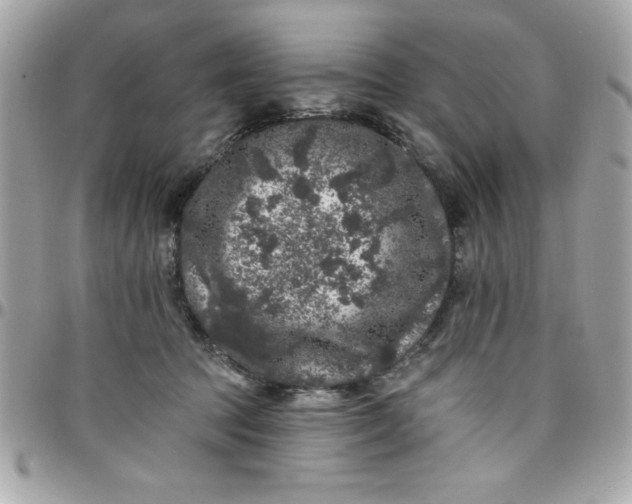X0000097790369200803211826