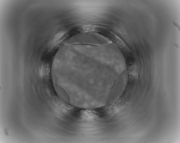 X0000097790372200803211826