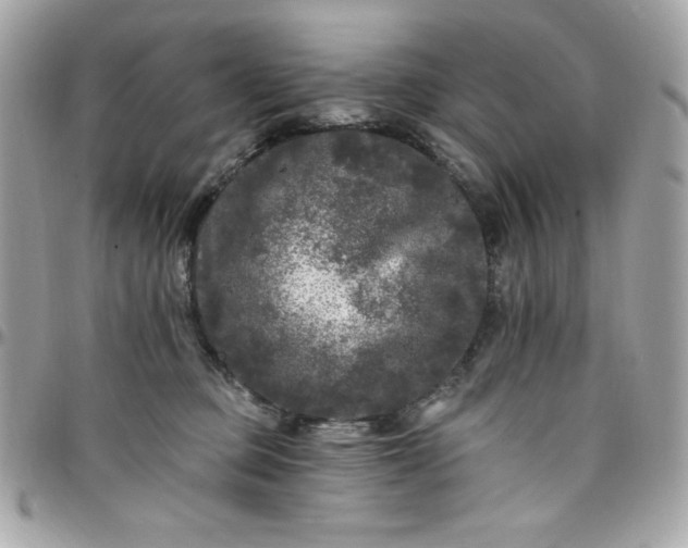 X0000097790373200803211826