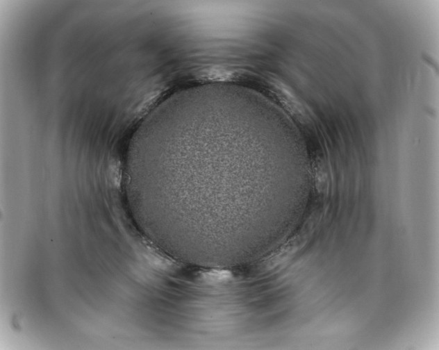 X0000097790374200803211826
