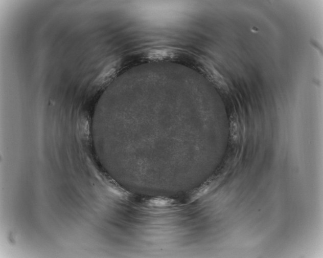 X0000097790375200803211826
