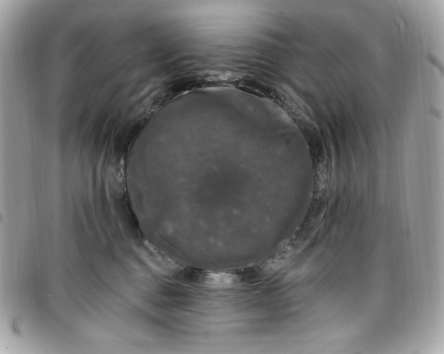 X0000097790376200803211826