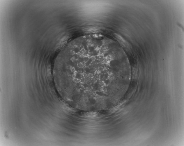 X0000097790377200803211826