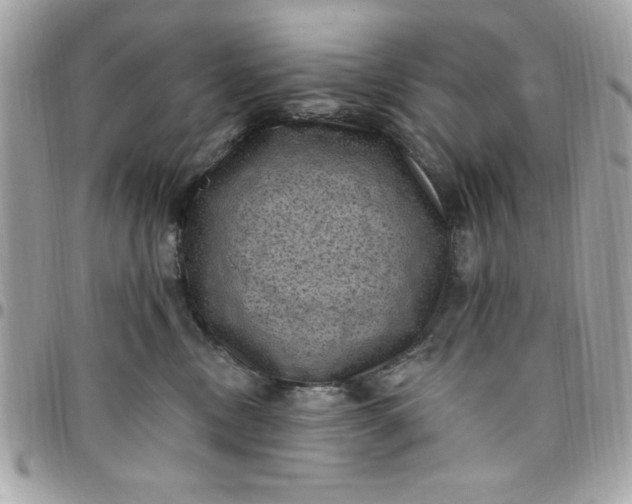 X0000097790378200803211826