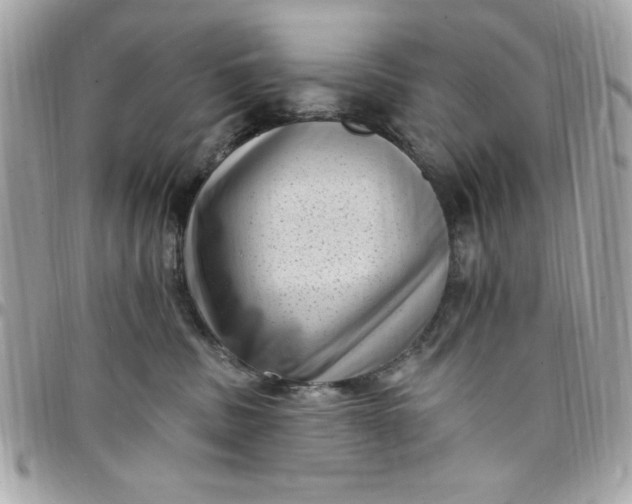 X0000097790379200803211826