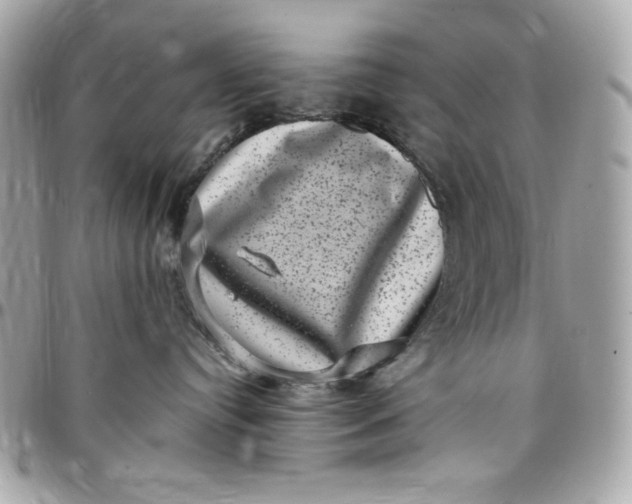 X0000097790384200803211826