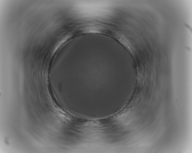 X0000097790386200803211825