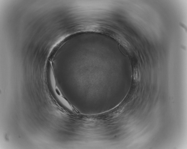 X0000097790388200803211825