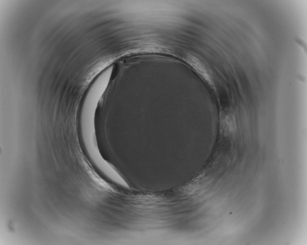 X0000097790389200803211825