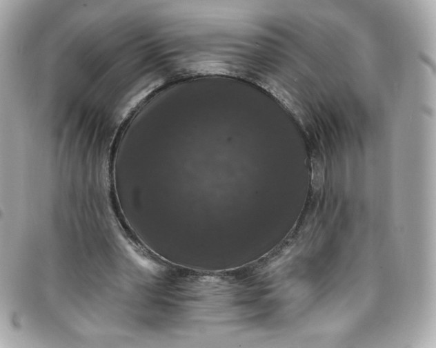 X0000097790390200803211825