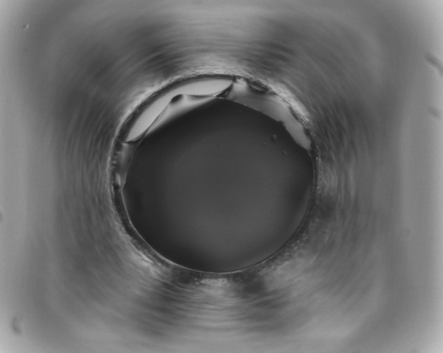 X0000097790391200803211825