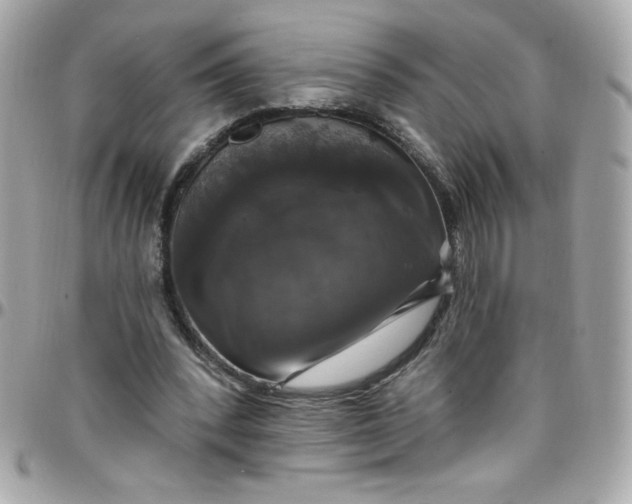 X0000097790392200803211825