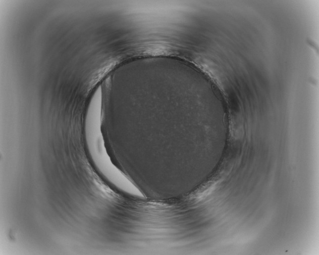X0000097790393200803211825