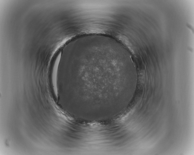 X0000097790395200803211825
