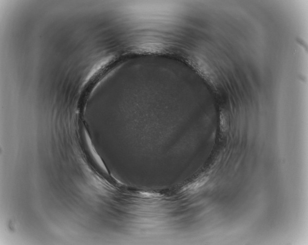 X0000097790396200803211825