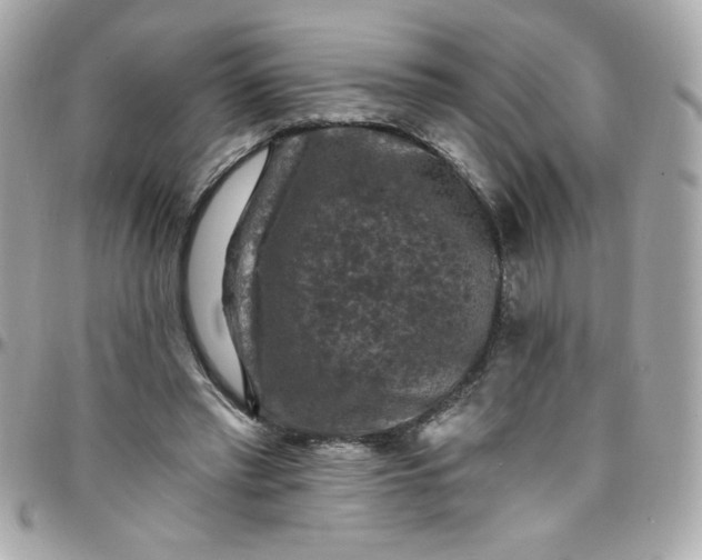 X0000097790397200803211825