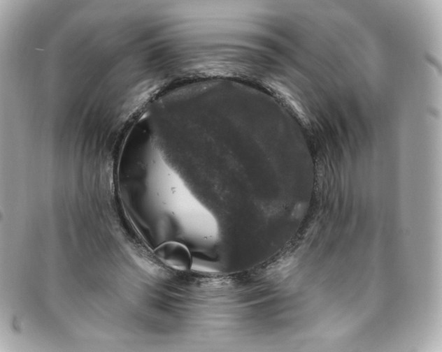 X0000097790398200803211825