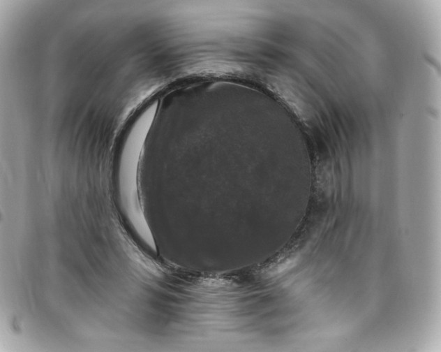 X0000097790399200803211825