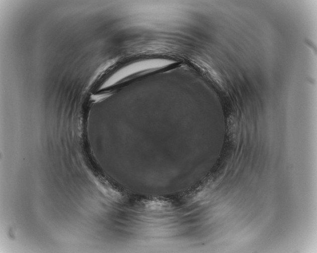 X0000097790400200803211825