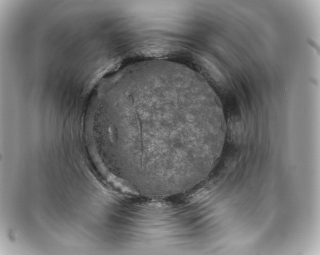 X0000097790404200803211825