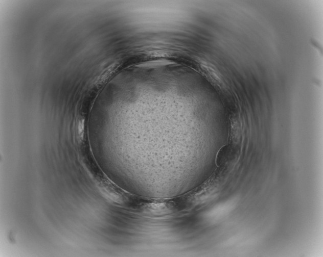 X0000097790406200803211825