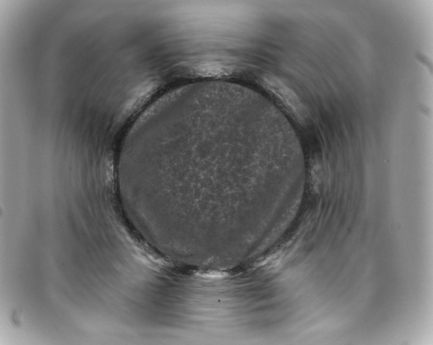 X0000097790407200803211825