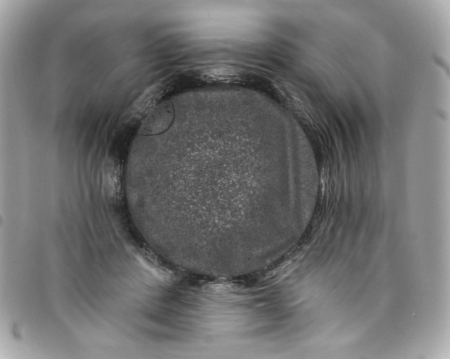 X0000097790408200803211825