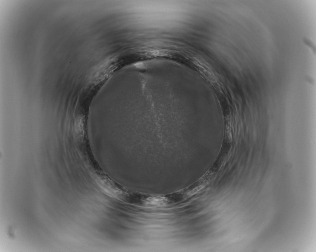 X0000097790410200803211825