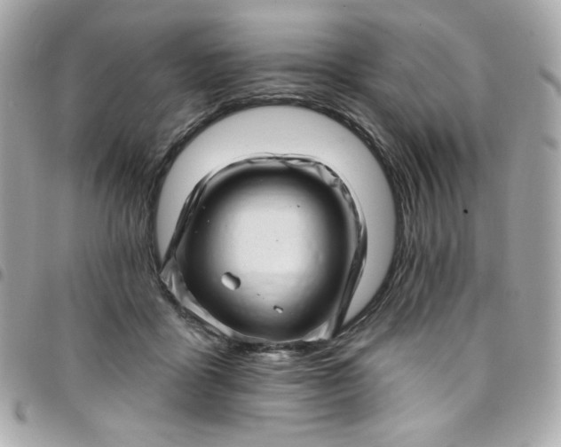 X0000097790411200803211825