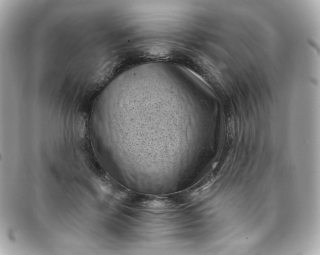 X0000097790412200803211825