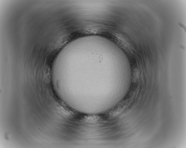 X0000097790414200803211825