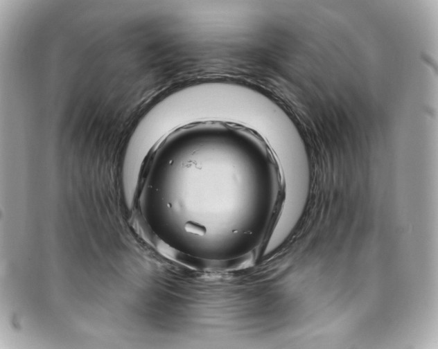 X0000097790415200803211825