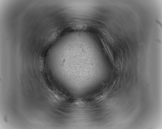 X0000097790416200803211825