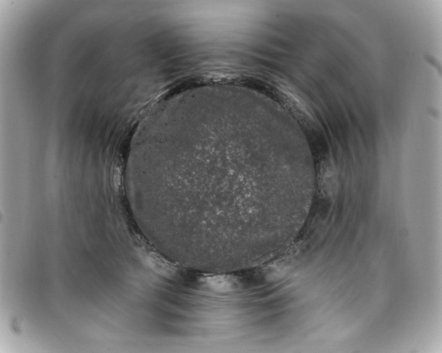 X0000097790417200803211825