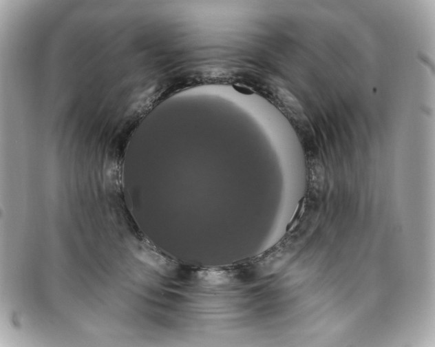 X0000097790419200803211825