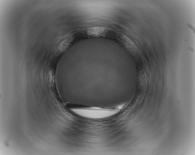 X0000097790420200803211825