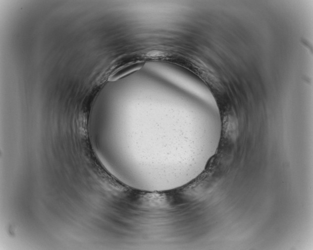 X0000097790421200803211825