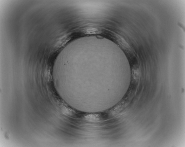 X0000097790422200803211825