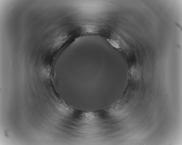 X0000097790423200803211825