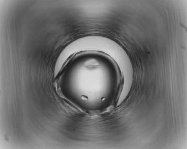 X0000097790427200803211825