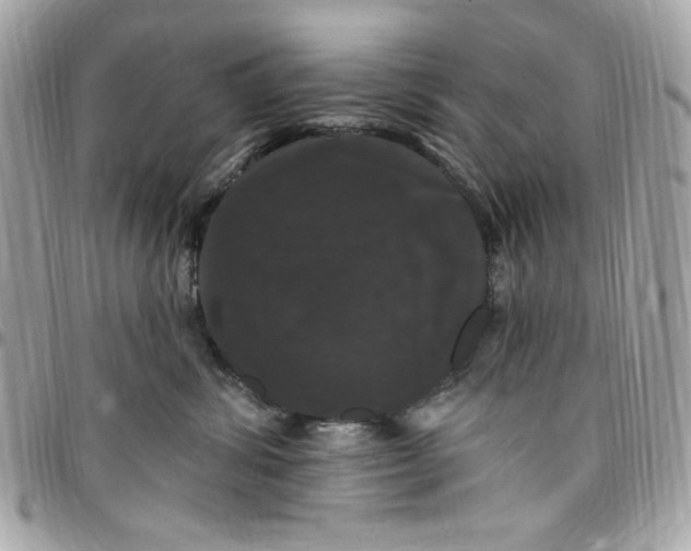 X0000097790428200803211825